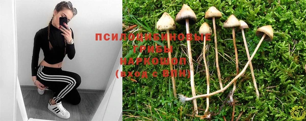 мдпв Балабаново