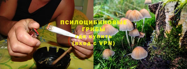 мдпв Балабаново