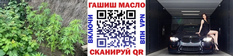 Купить закладки  Арсеньев  Дистиллят ТГК THC oil 