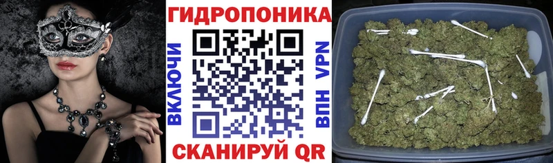 Купить  Арсеньев  Бошки марихуана конопля 